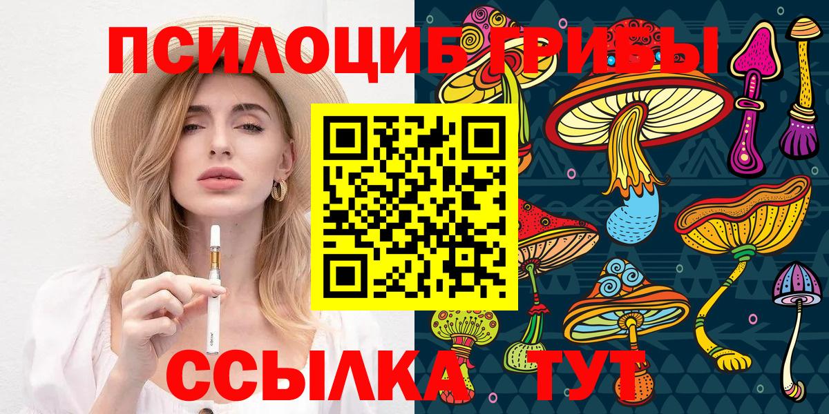 Алейск  Псилоцибиновые грибы мицелий  купить закладку  Вход с VPN  Галлюциногенные грибы прущие грибы 